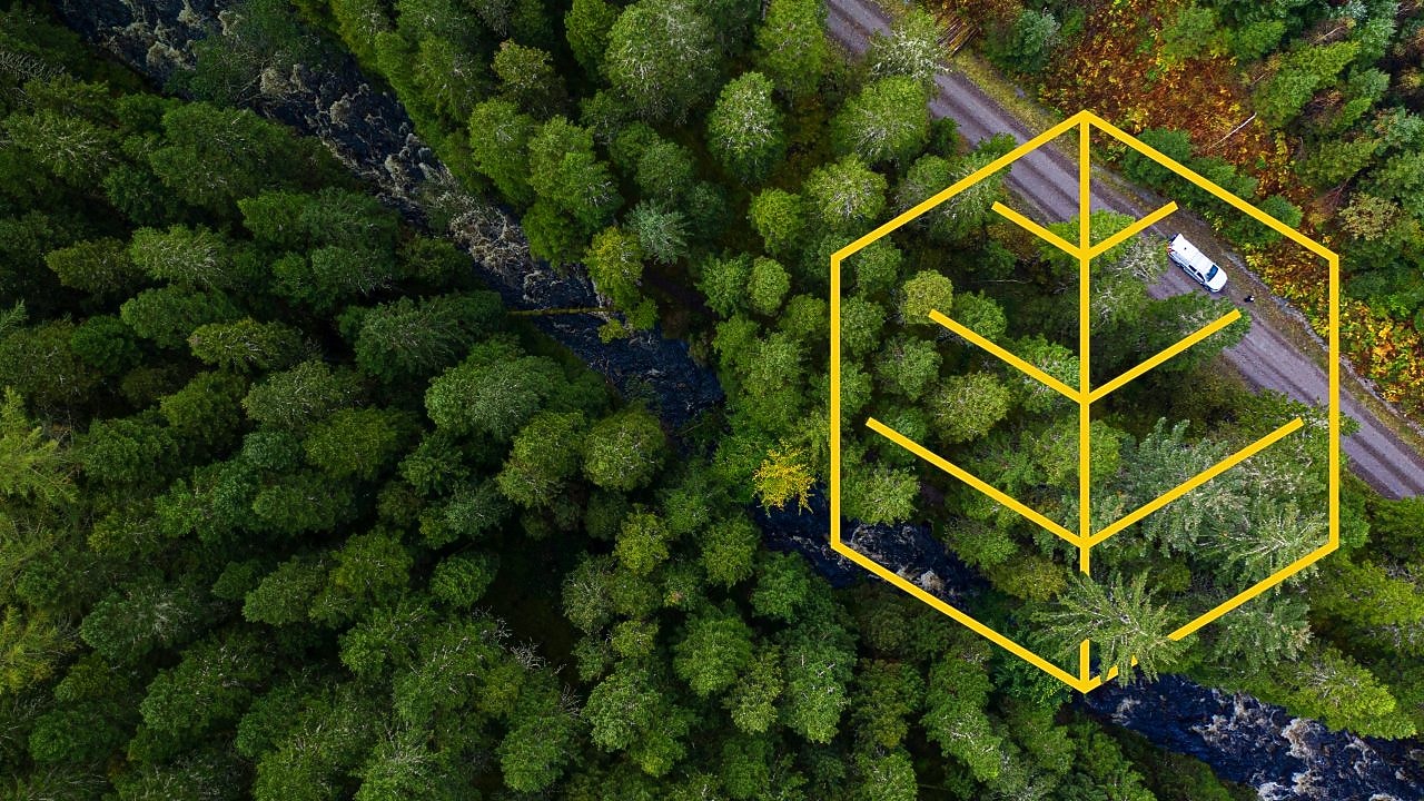 Vista aérea de un río y un camión blanco en una carretera en un bosque de pinos con un resumen del gráfico de Respeto por la naturaleza