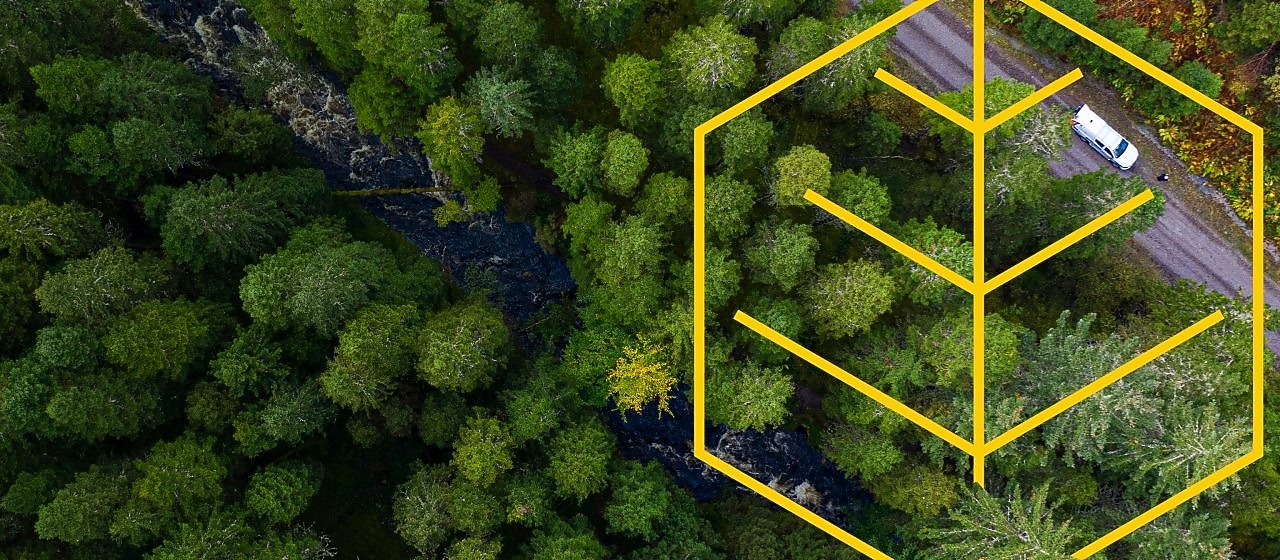 Vista aérea de un río y un camión blanco en una carretera en un bosque de pinos con un resumen del gráfico de Respeto por la naturaleza