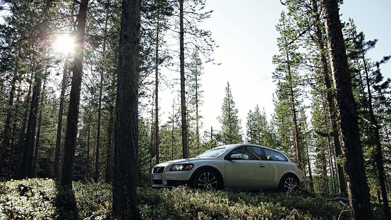 Auto en la ruta forestada