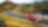 Sedan rojo circulando por la ruta en Noruega