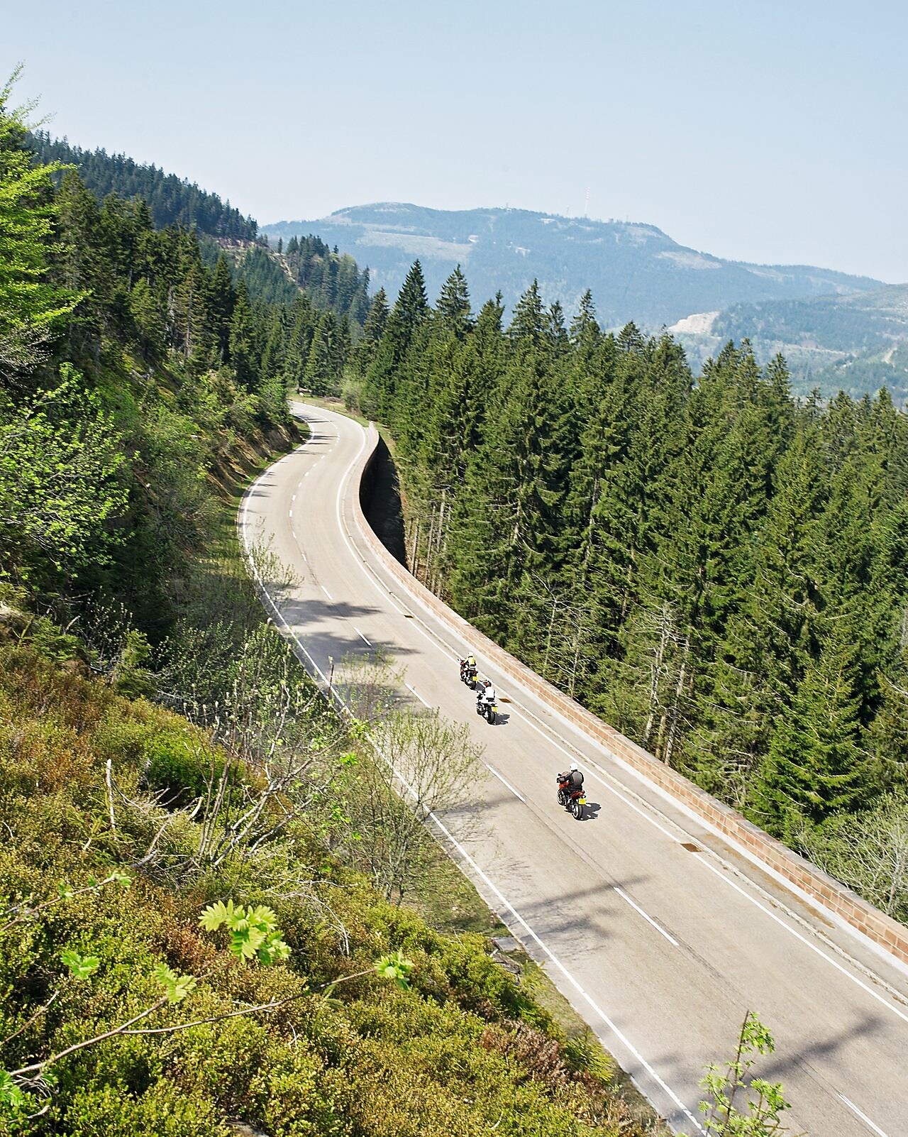 Tres motos circulando por una ruta de montaña bordeada de árboles