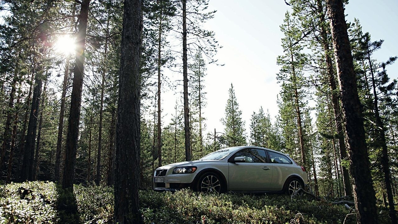 Auto en la ruta forestada