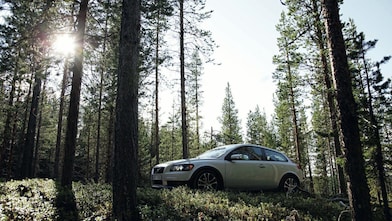 Auto en la ruta forestada