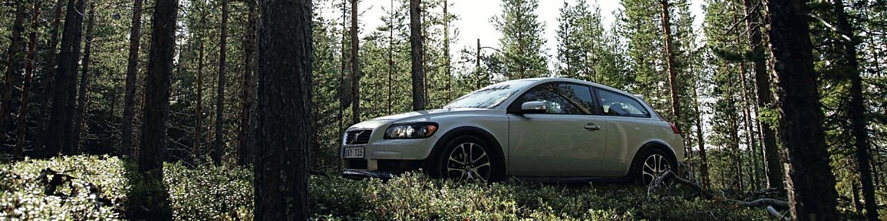 Auto en la ruta forestada