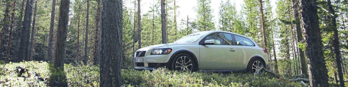 Auto en la ruta forestada