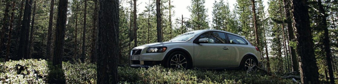 Auto en la ruta forestada