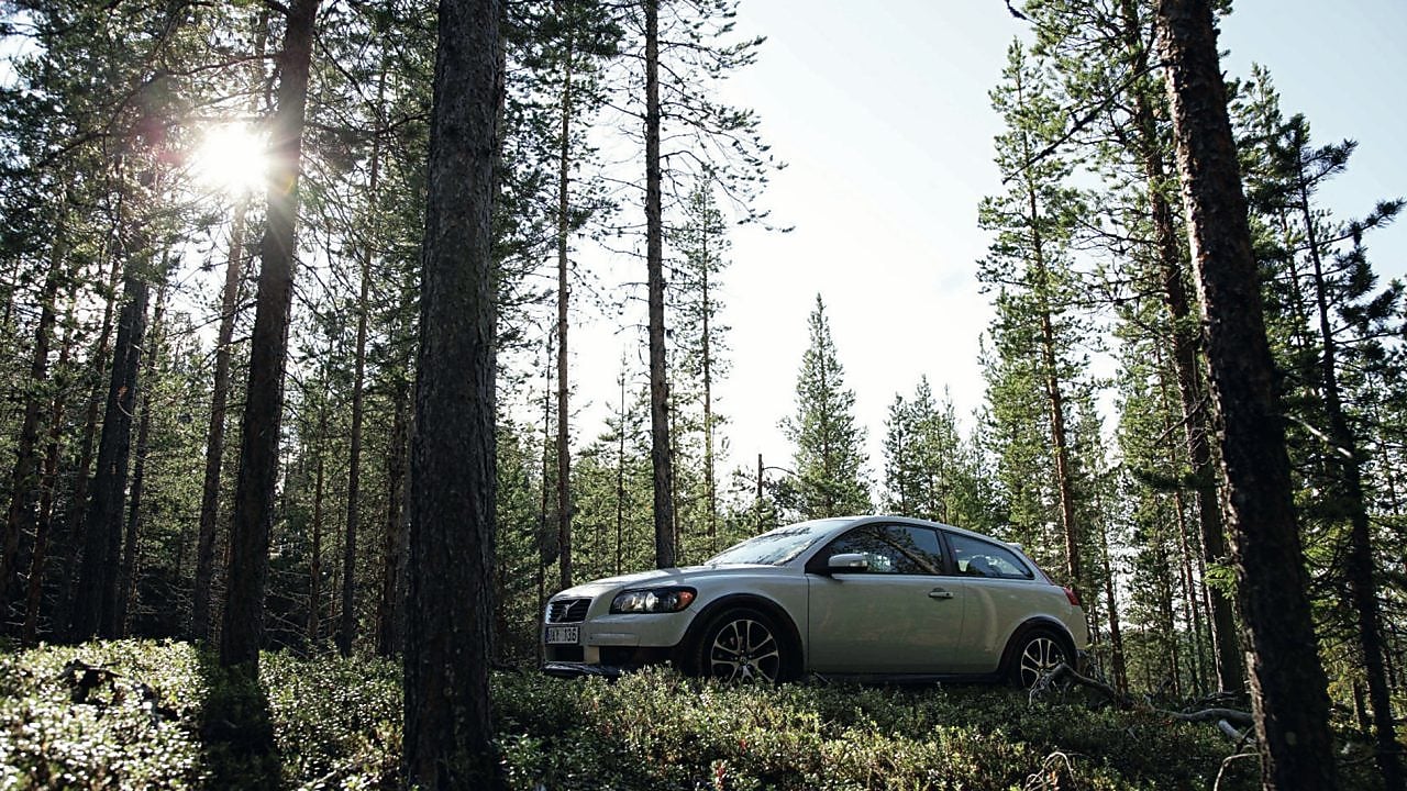Berlina blanca parada en medio del bosque