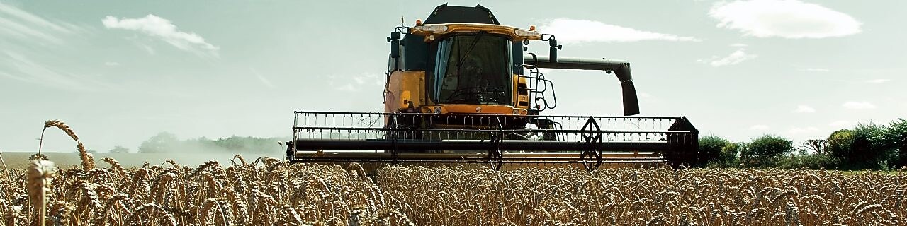 Una cosechadora amarilla en un campo de trigo